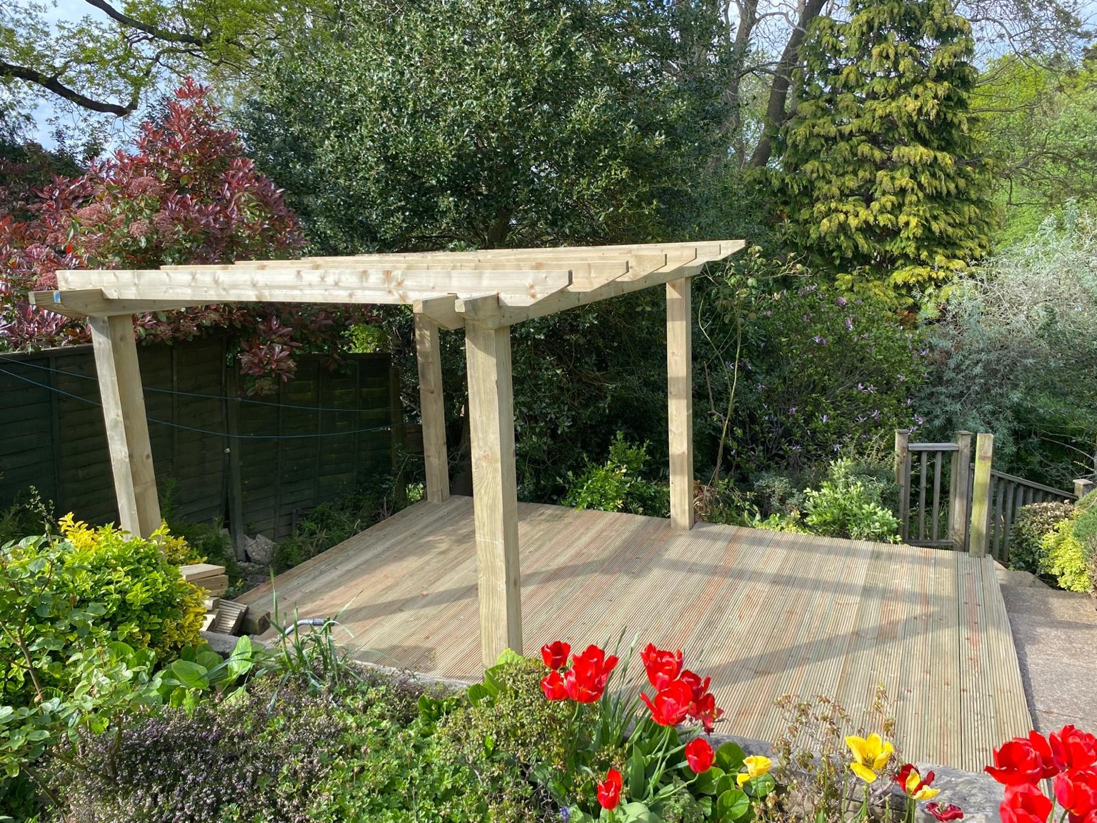 The pergola among the planting